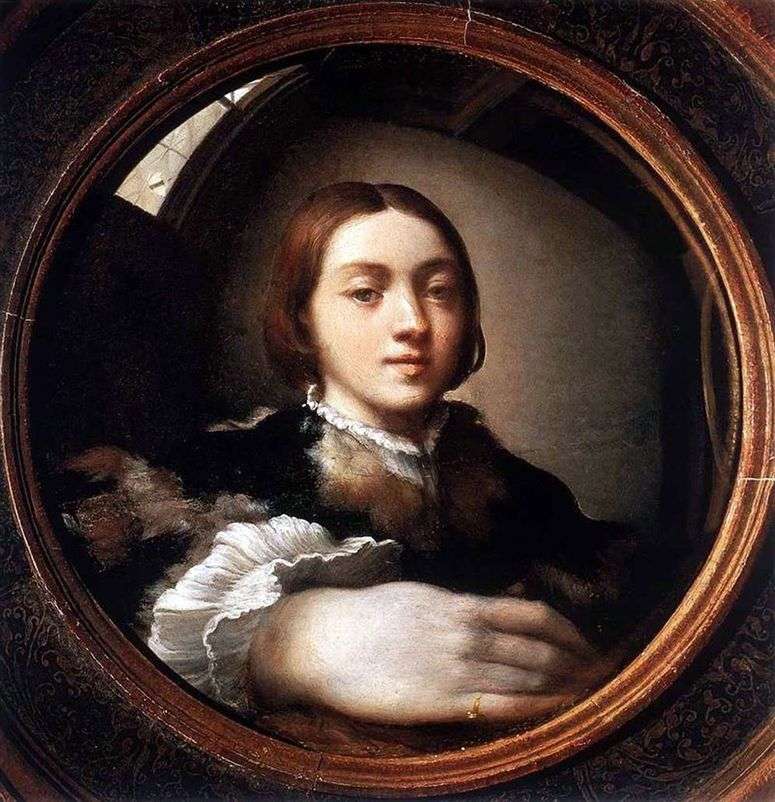 Описание картины Автопортрет в выпуклом зеркале   Франческо Пармиджанино