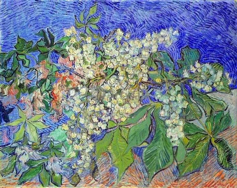 Описание картины Цветущие каштановые ветви   Винсент Ван Гог