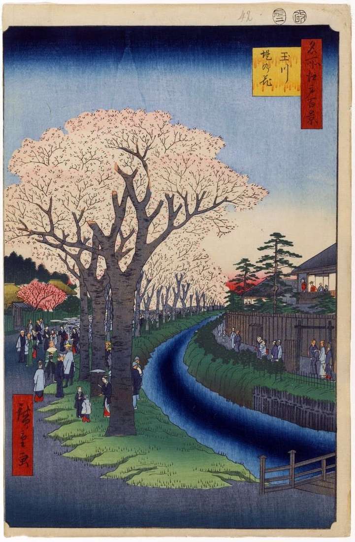Описание картины Деревья сакуры вдоль дамбы реки Тамагава   Утагава Хиросигэ