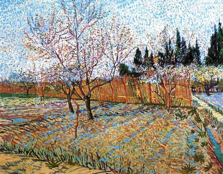 Описание картины Фруктовый сад с цветущими персиками   Винсент Ван Гог