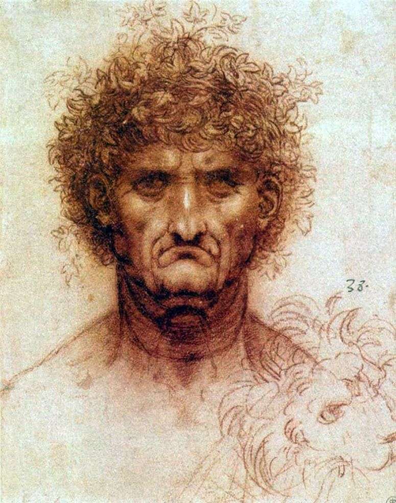 Описание картины Голова человека и льва   Леонардо да Винчи