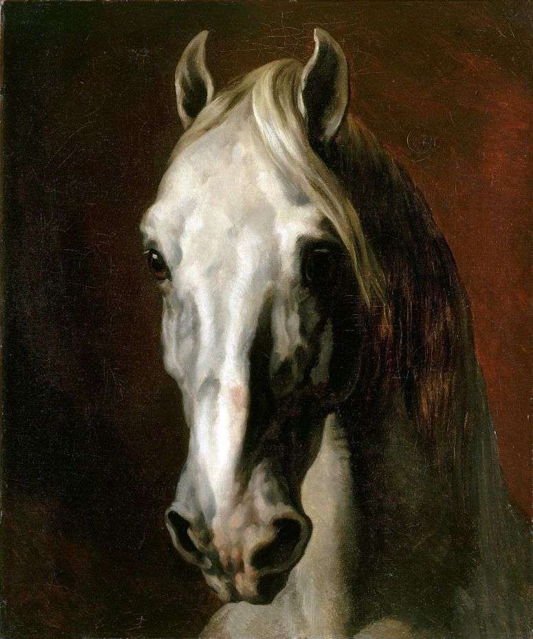 Описание картины Голова белой лошади   Теодор Жерико