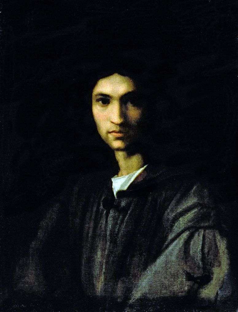Описание картины Портрет молодого человека   Андреа дель Сарто
