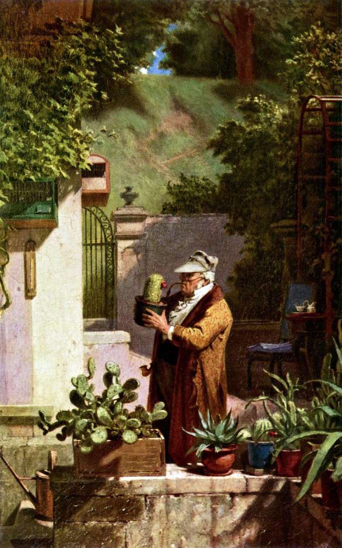 Описание картины Любитель кактусов   Карл Шпицвег