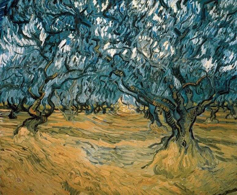 Описание картины Оливковые деревья   Винсент Ван Гог