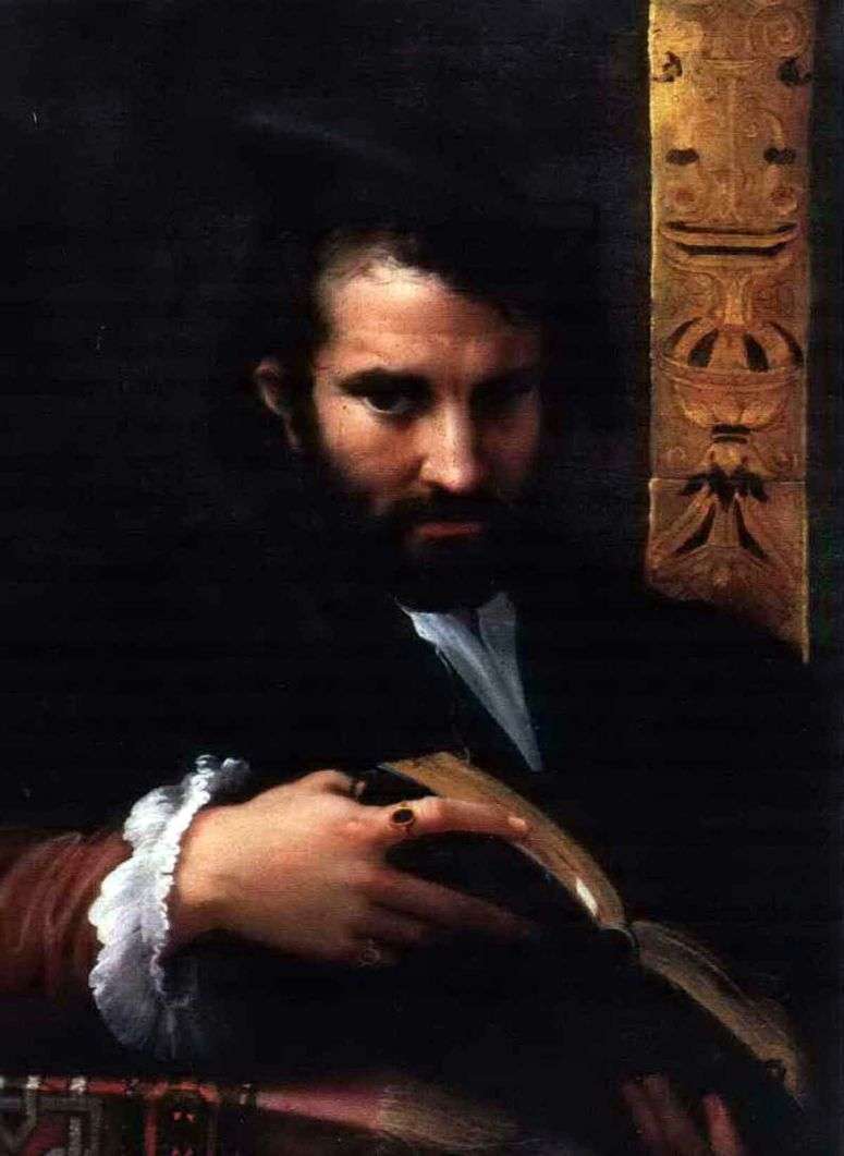 Описание картины Портрет мужчины с книгой   Франческо Пармиджанино