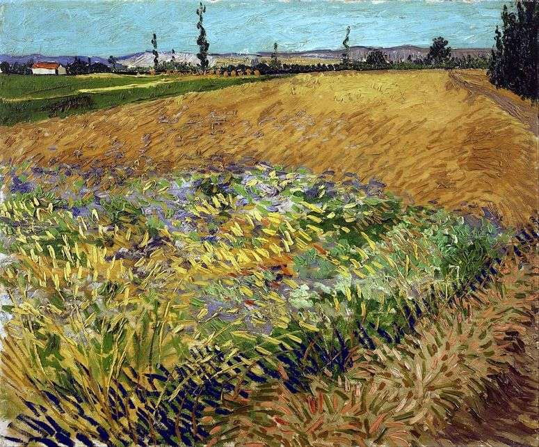 Описание картины Пшеничное поле и предгорье Старых Альп на заднем плане   Винсент Ван Гог