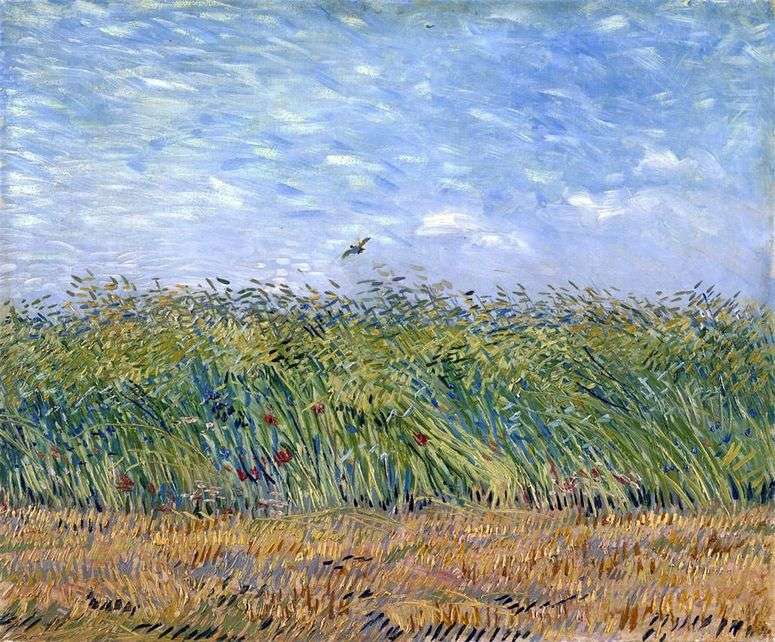 Описание картины Пшеничное поле с жаворонком   Винсент Ван Гог