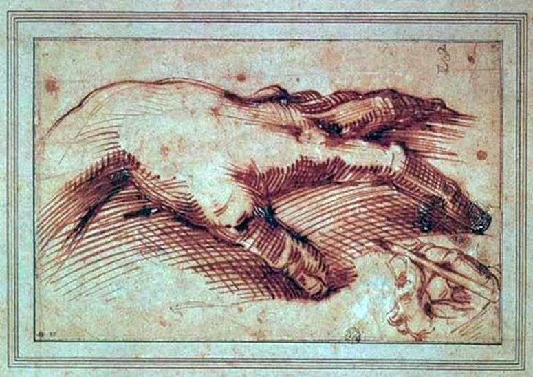 Описание картины Рука Микеланджело   Микеланджело Буонарроти
