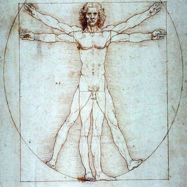 Описание картины Витрувианский человек   Леонардо да Винчи