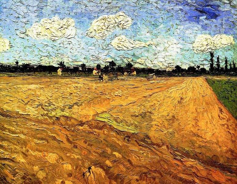 Описание картины Вспаханное поле   Винсент Ван Гог