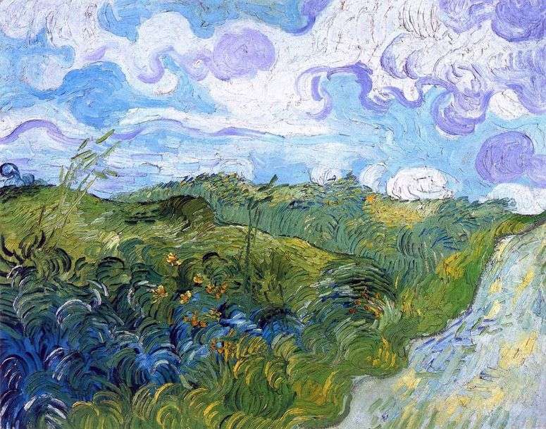 Описание картины Зеленые поля пшеницы   Винсент Ван Гог